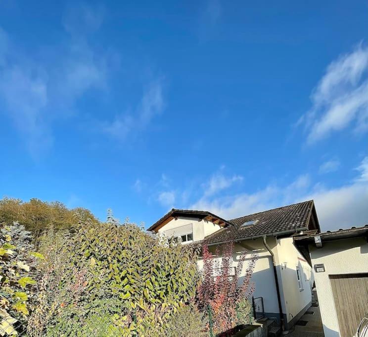 Modernes Apartment Mit Top Ausstattung Und Kamin Im Oberpfaelzer Seenland Nittenau Bagian luar foto
